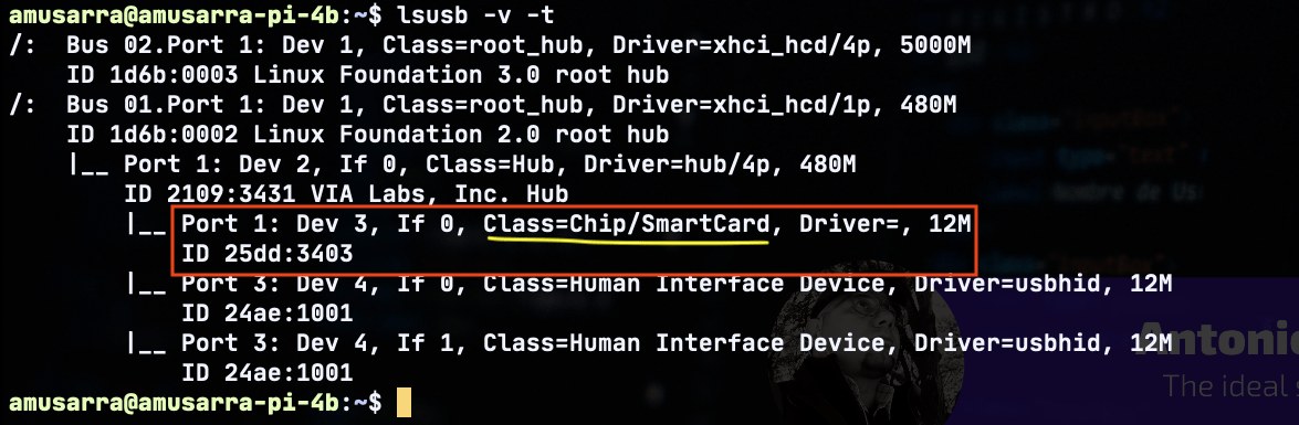 Raspberry Pi: Come installare il miniLector CIE su Ubuntu Server 20.04 LTS