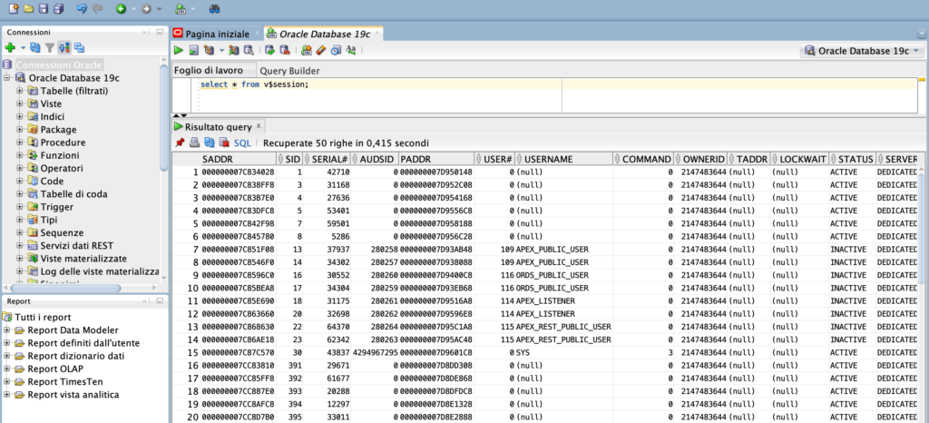 Figure 20 - Example of executing a query on the Oracle database