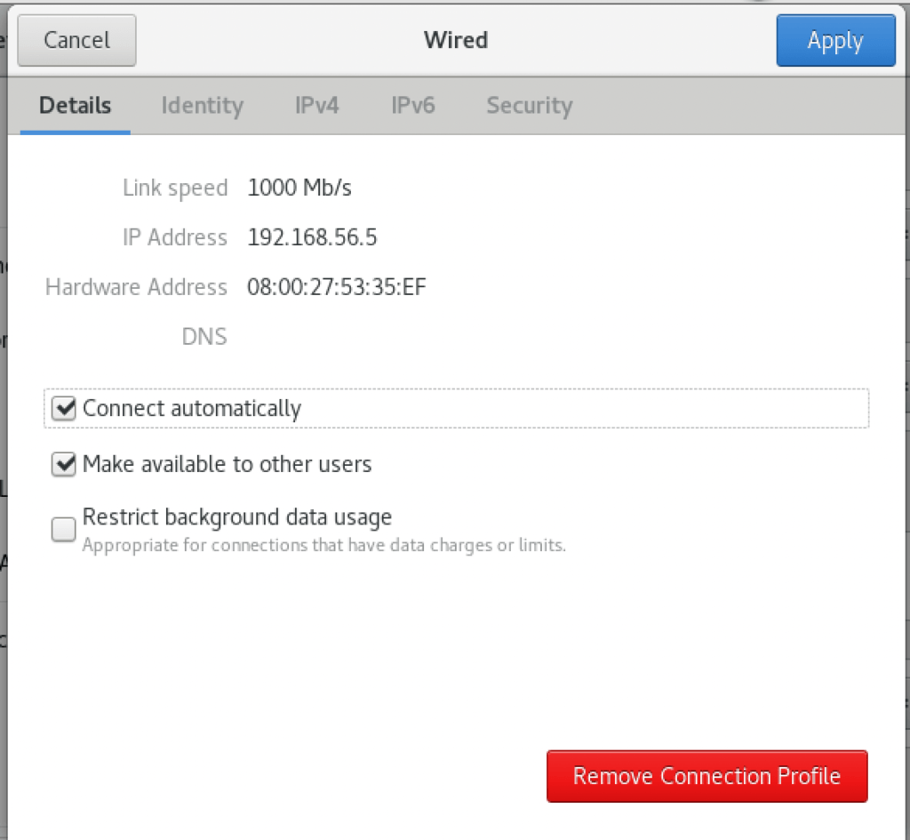 Figure 18 - Permanent activation of the new eth1 network card connected to the host network