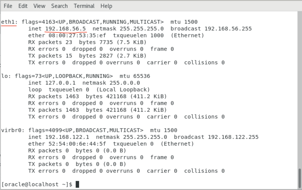 Figure 15 - Verifying the correct configuration of the network card configured to use the host network