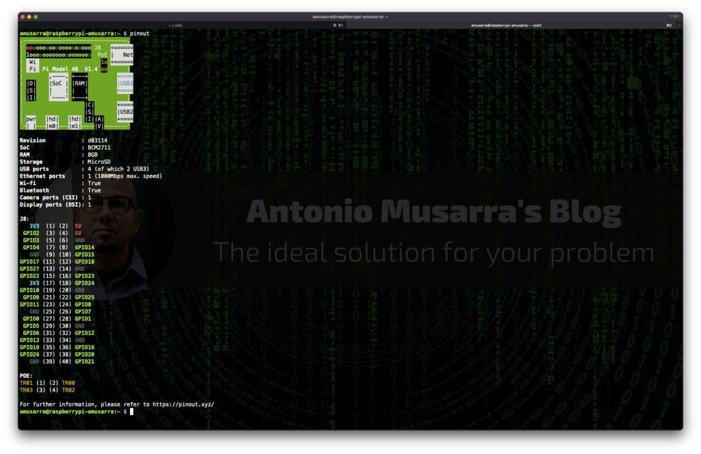 Figura 15 - Output del comando pinout, utile per verificare la piedinatura del GPIO e altre informazione sul layout hardware e componenti 